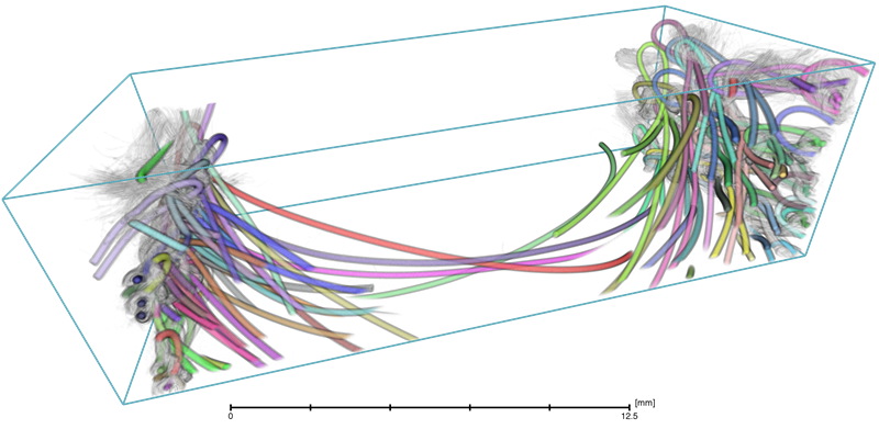 Coupe 3D fibres textiles