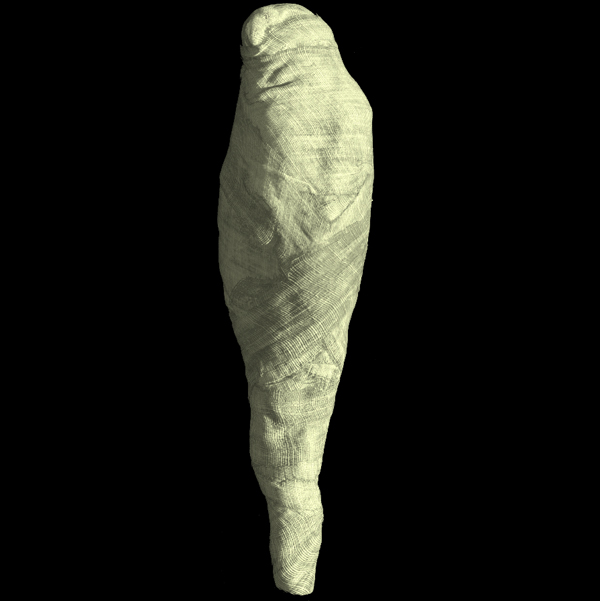 3D rendering of falcon mummification