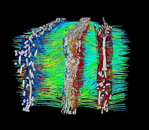 masque chirurgical en polymères et composites, vu de l'intérieur en tomographie, RX Solutions