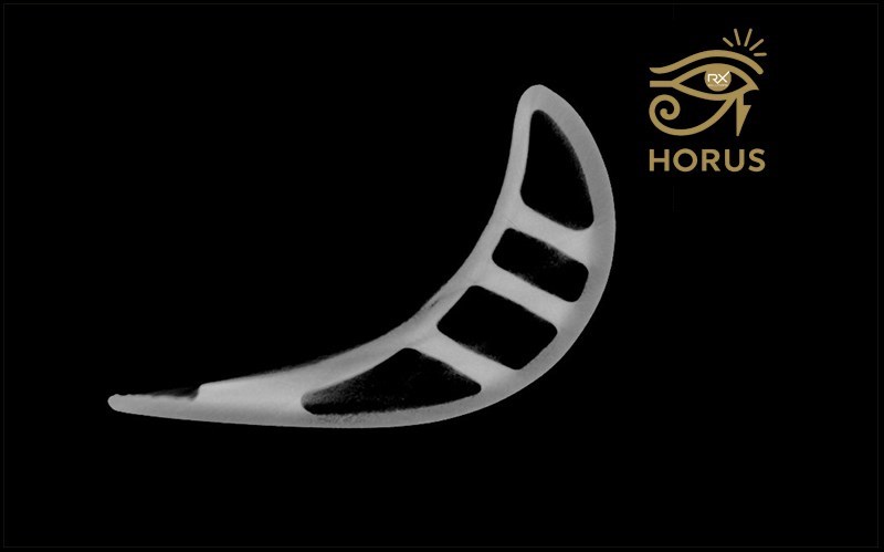 Horus – advanced reconstruction module