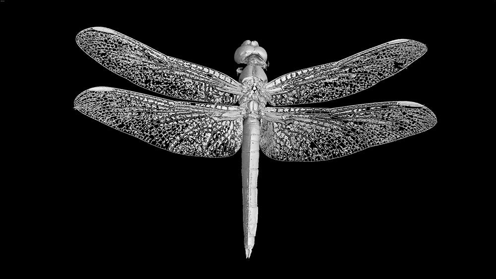 Microtomographie industrielle - 3D