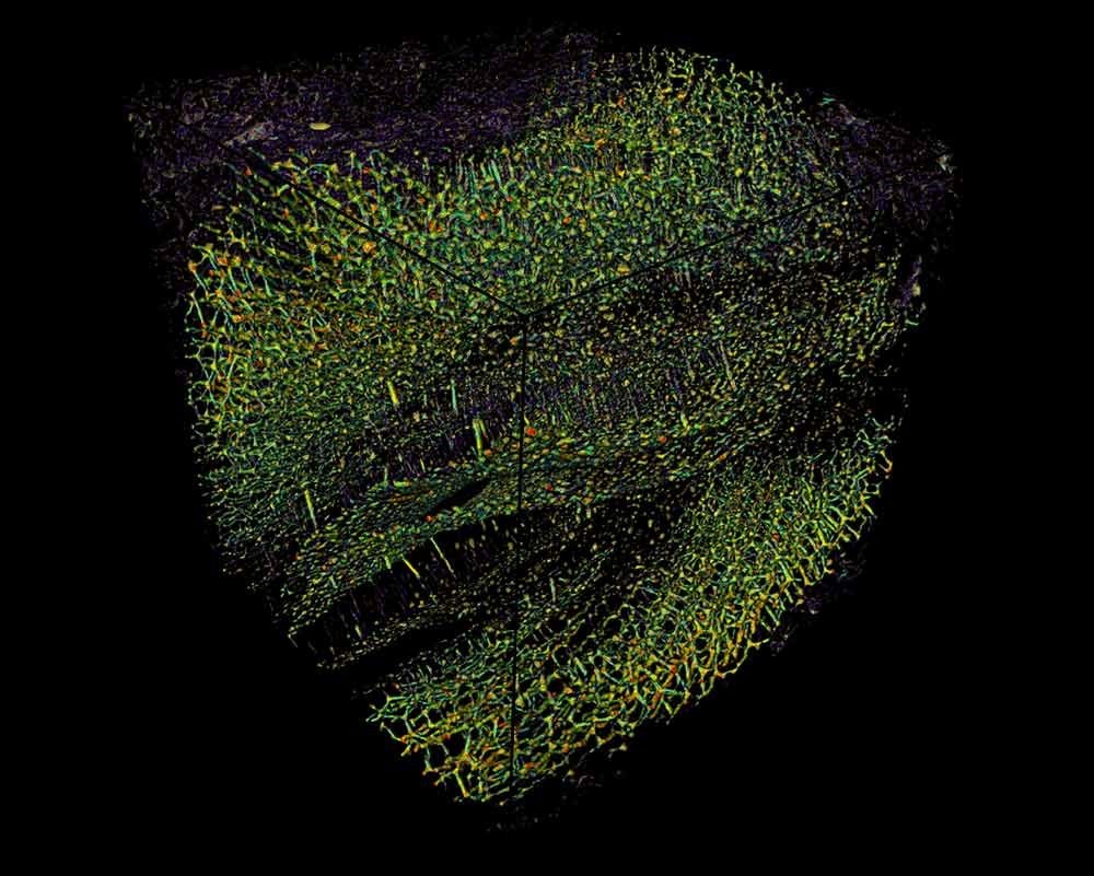 Tomographie nanométrique - porosités