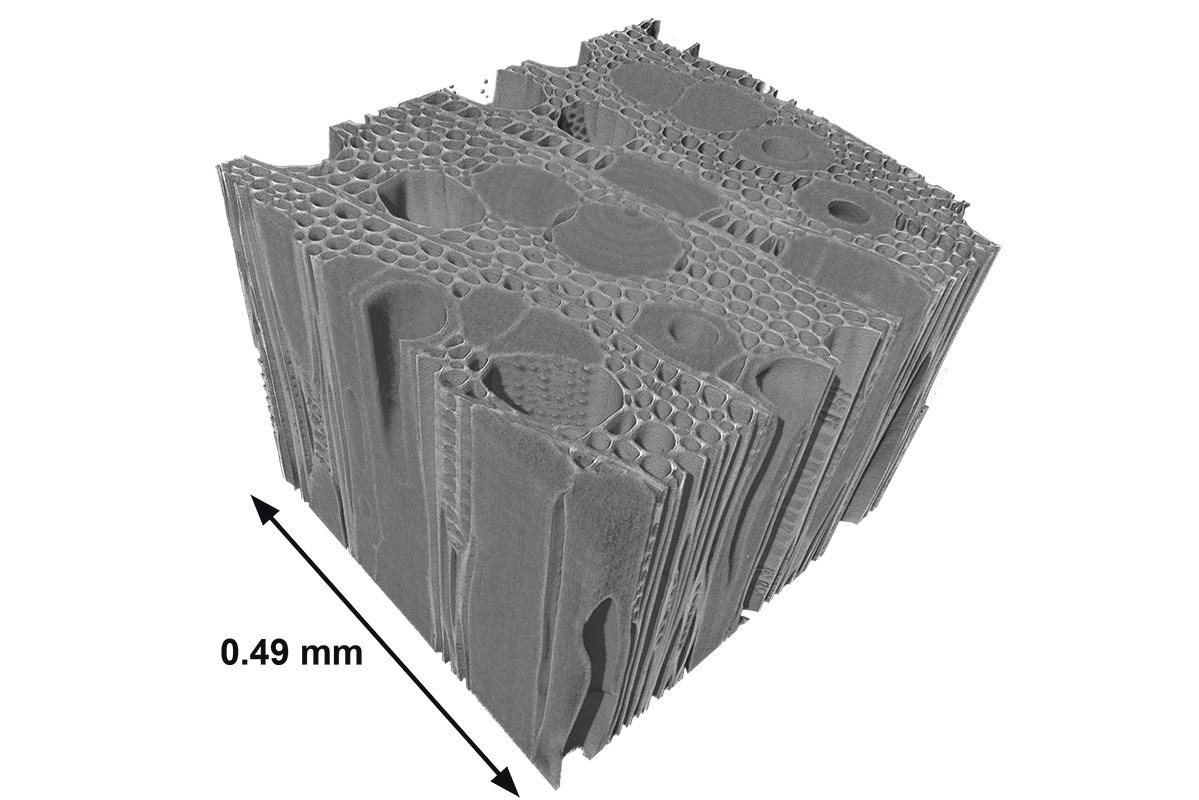 Analyse matériaux par microtopographie