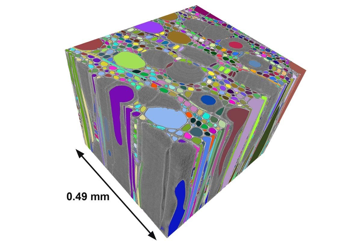 Analyse matériaux par microtopographie
