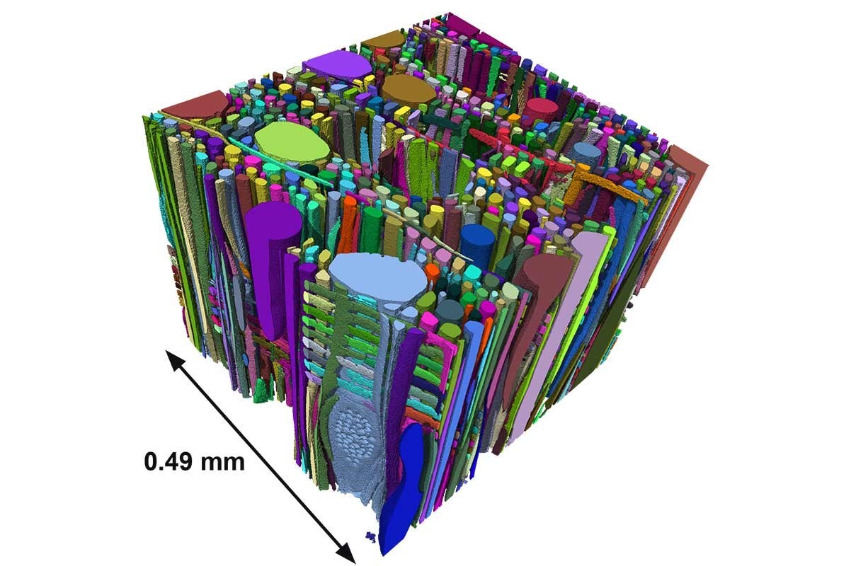 Analyse matériaux par microtopographie