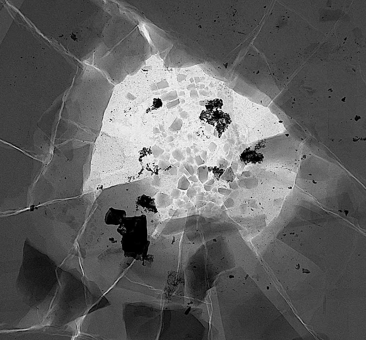 X-Act - Radiographie 2D - défense