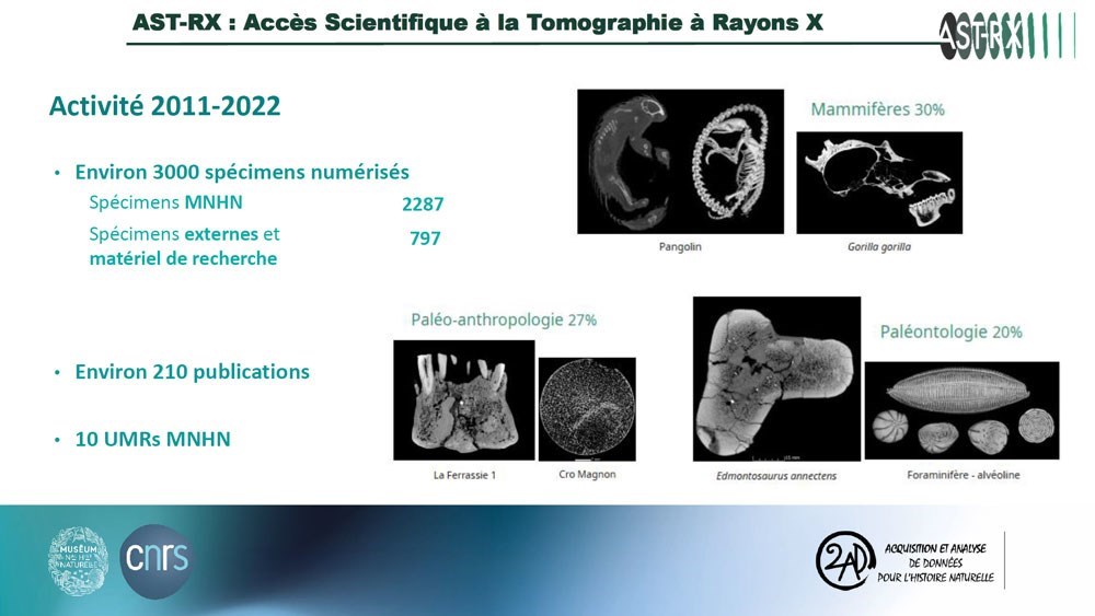 Dissection virtuelle d'un spécimen par tomographie au MNHN