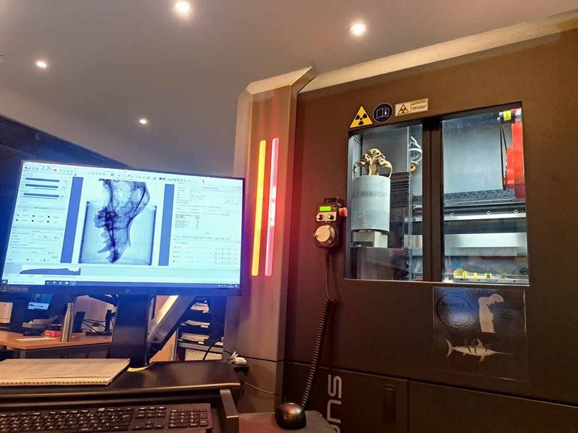 Reconstruction 3D par tomographie d'un crâne de chien, plateforme AST-RX du MNHN 