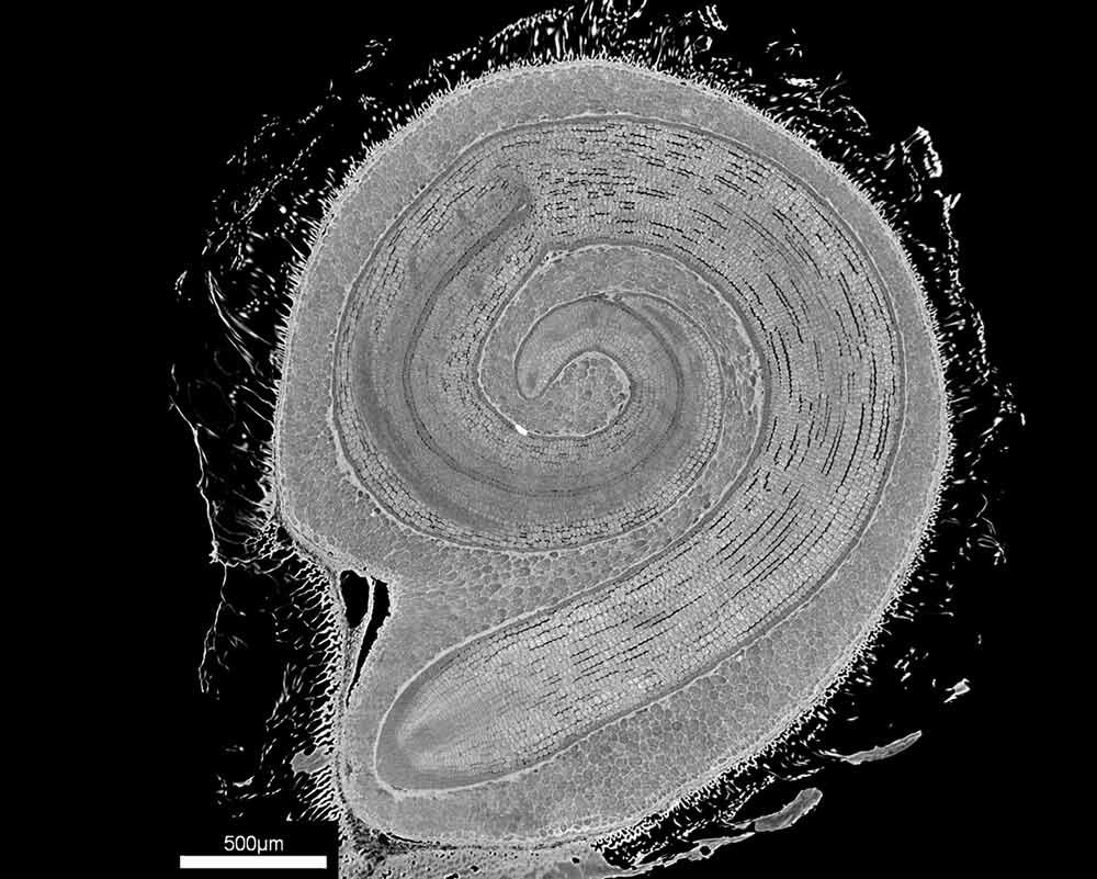 Tomographie nanométrique
