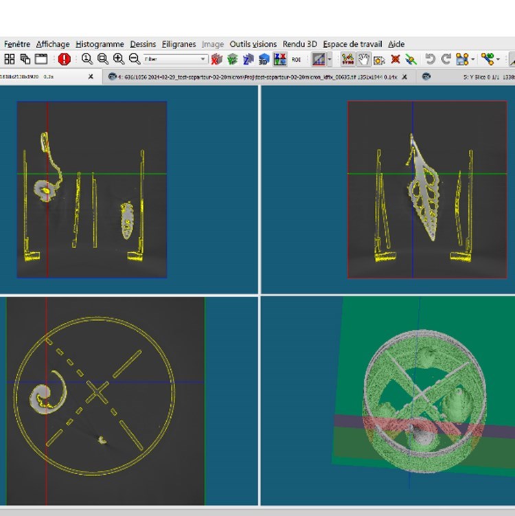 Gastropod reconstruction 