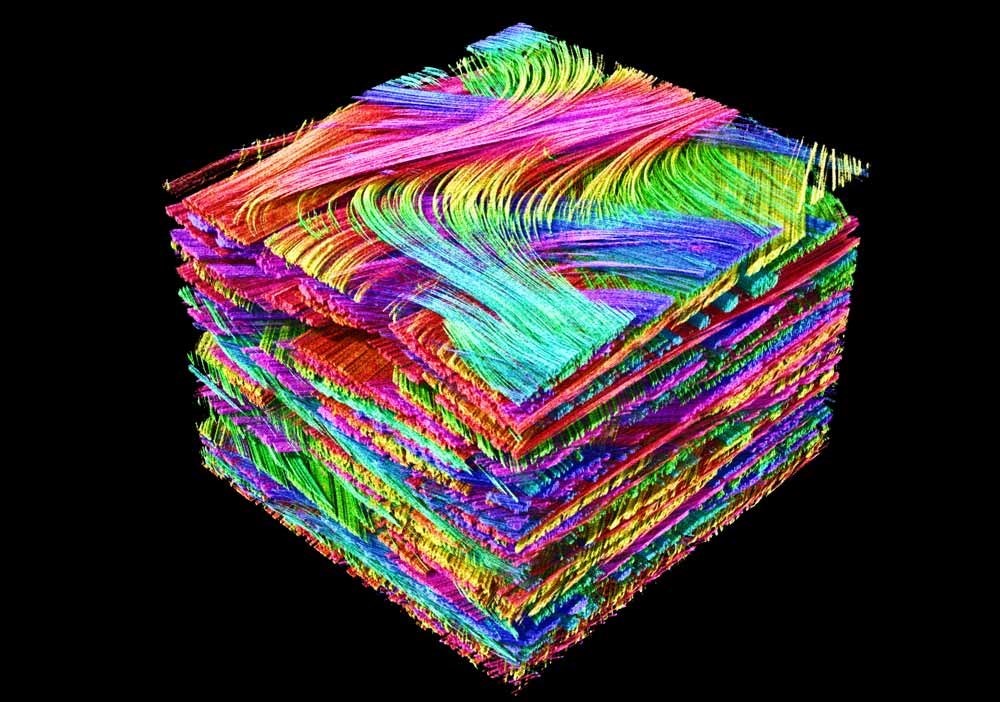 <strong><span class="color">Centres de recherche</span></strong><br><strong><span class="color"></span></strong><br>Les centres de recherche choisissent VGSTUDIO MAX pour relever des défis scientifiques et technologiques complexes : caractérisation détaillée des matériaux, analyses structurelles, études de défauts et évaluations quantitatives dans un seul environnement. Les workflows reproductibles et l'automatisation permettent de traiter de gros volumes de données, d'accélérer l'innovation et d'obtenir des résultats fiables pour les publications, les projets collaboratifs et le développement technologique<br><br>-image