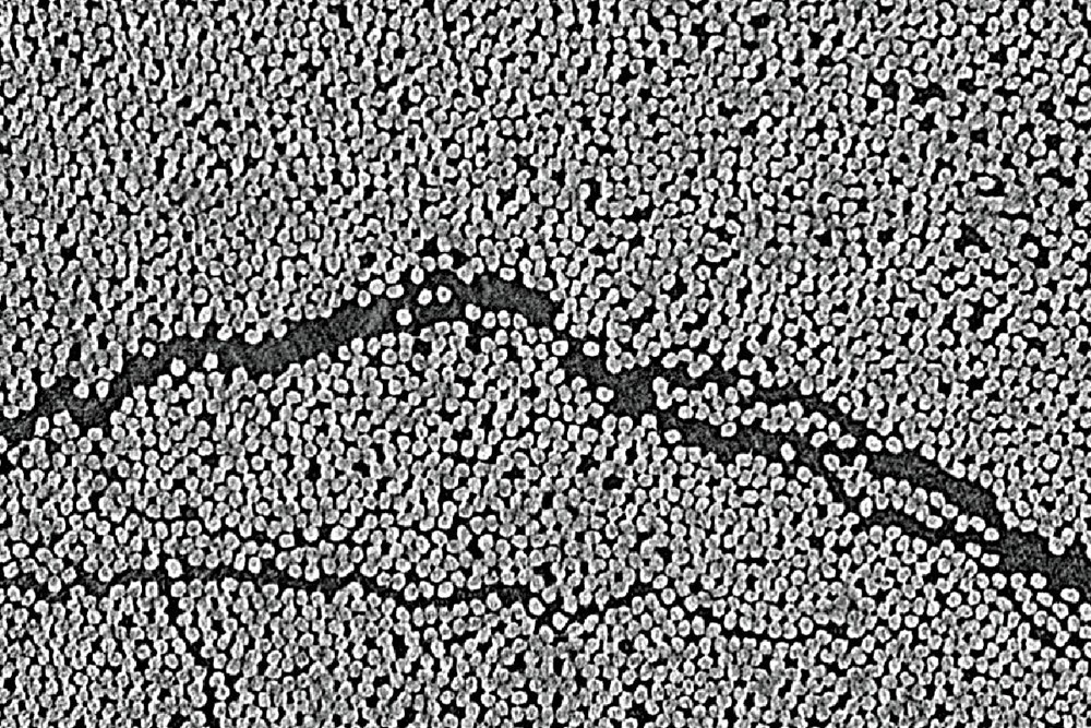 R&eacute;solution nanom&eacute;trique&nbsp;PCB et &eacute;lectronique, poudres de fabrication additive, microstructures.&nbsp;Jusqu'&agrave; 250 nm, avec source double micro/nano commutable, pour l'analyse des structures les plus fines.D&eacute;couvrir la NANO-CT&nbsp;