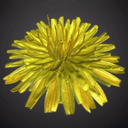 Imagerie in-situ & expériences 4D