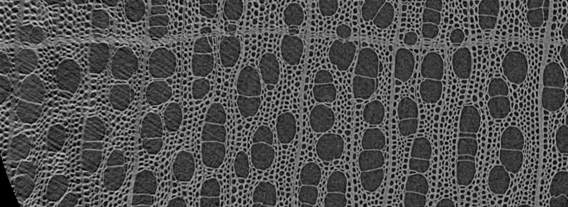 Analyse de matériaux par micro-tomographie