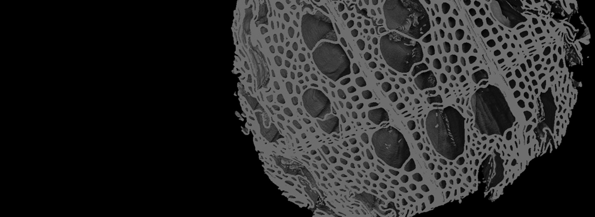 Tomographie pour la Recherche AcadémiqueFaites avancer la Science en accédant à l'invisible